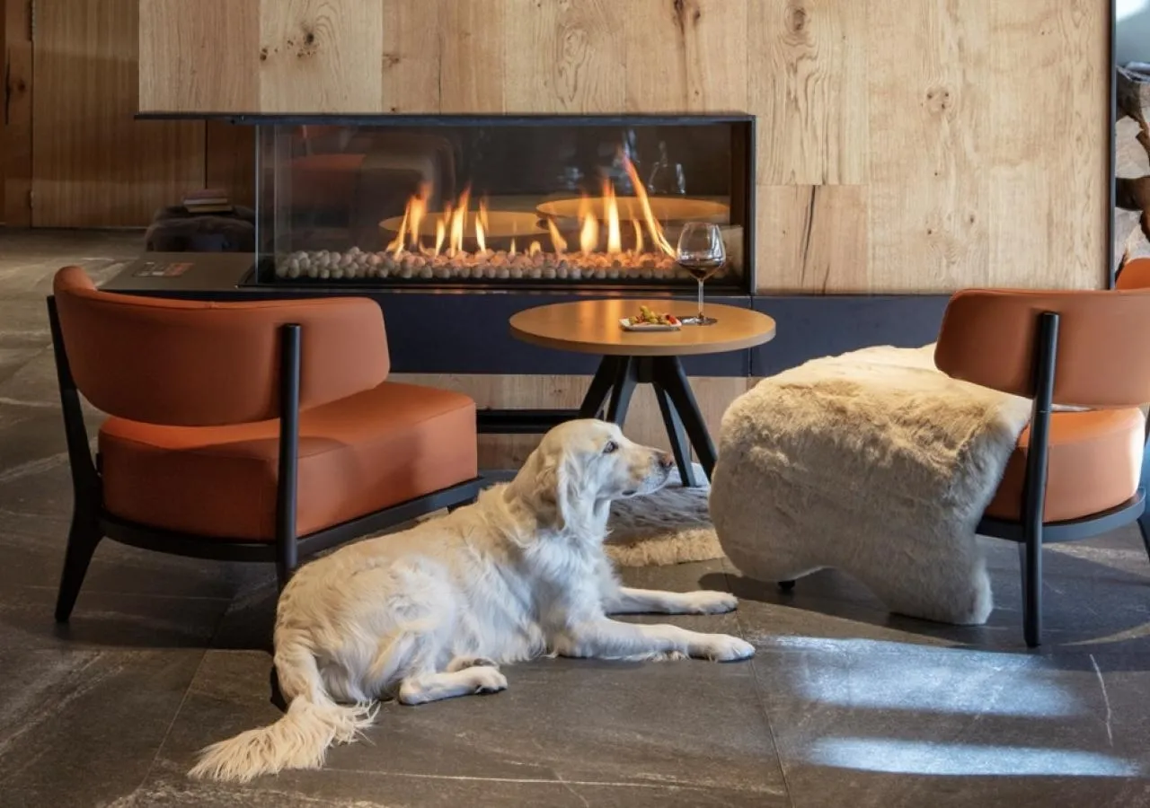 Lounge-Bar-Petlovers-01 thigh-5127